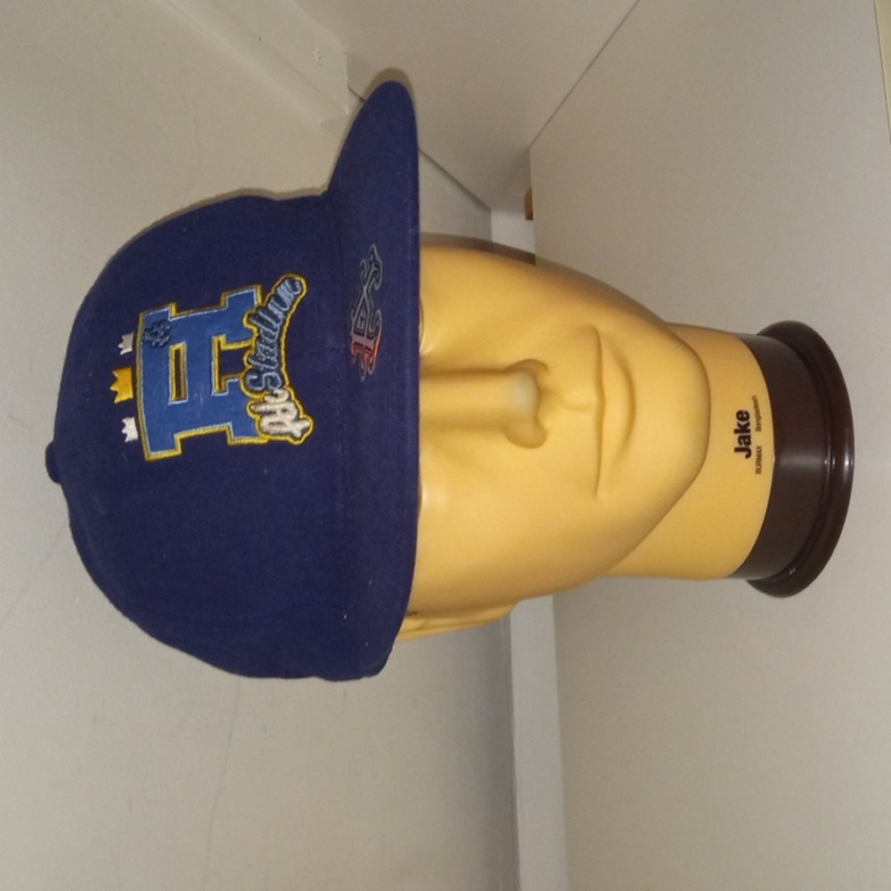 Akademiks Fitted Team Hat